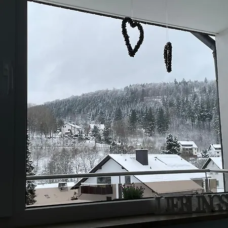 Kristallklar Inklusive Meinecard Apartman Willingen